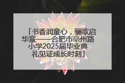 书香润童心，骊歌启华章——合肥市亳州路小学2025届毕业典礼见证成长时刻