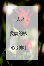 人才：发展的核心引擎
