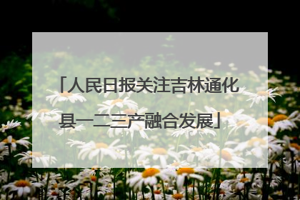 人民日报关注吉林通化县一二三产融合发展