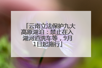 云南立法保护九大高原湖泊：禁止在入湖河道洗车等，9月1日起施行