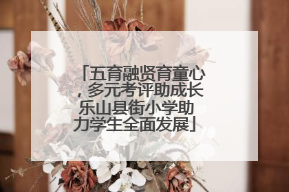 五育融贤育童心，多元考评助成长 乐山县街小学助力学生全面发展