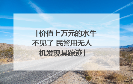 价值上万元的水牛不见了 民警用无人机发现其踪迹