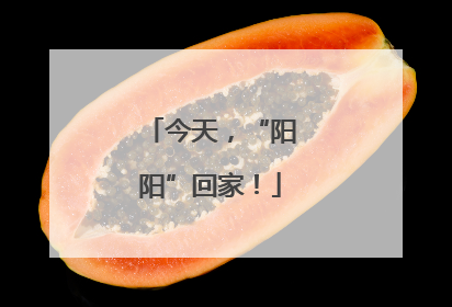 今天，“阳阳”回家！