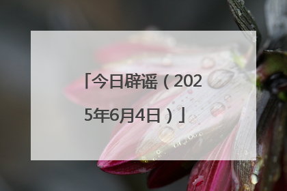 今日辟谣（2025年6月4日）