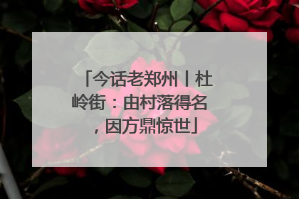 今话老郑州丨杜岭街：由村落得名，因方鼎惊世