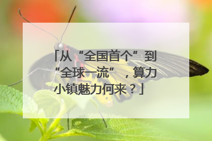 从“全国首个”到“全球一流”，算力小镇魅力何来？