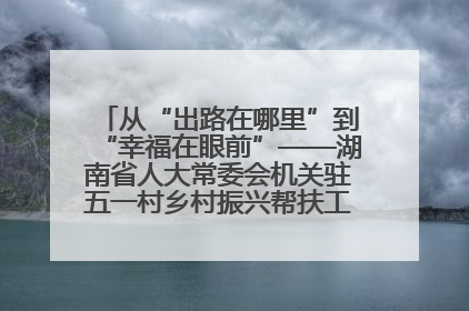 从“出路在哪里”到“幸福在眼前”——湖南省人大常委会机关驻五一村乡村振兴帮扶工作队书写振兴答卷