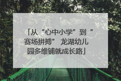 从“心中小学”到“赛场拼搏” 龙湖幼儿园多维铺就成长路