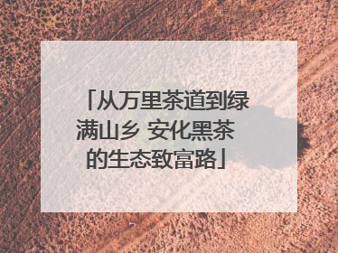 从万里茶道到绿满山乡 安化黑茶的生态致富路
