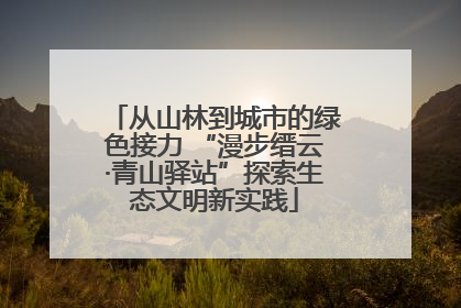从山林到城市的绿色接力 “漫步缙云·青山驿站”探索生态文明新实践
