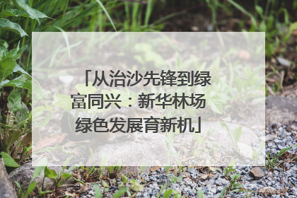 从治沙先锋到绿富同兴：新华林场绿色发展育新机