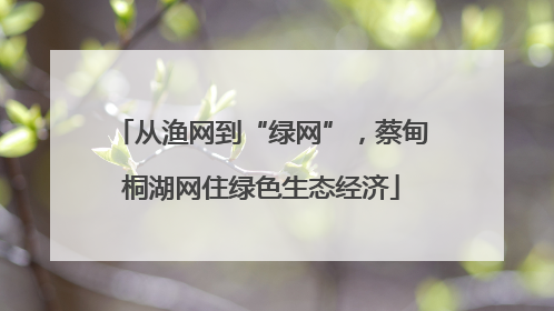 从渔网到“绿网”，蔡甸桐湖网住绿色生态经济