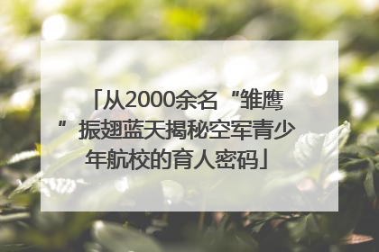 从2000余名“雏鹰”振翅蓝天揭秘空军青少年航校的育人密码