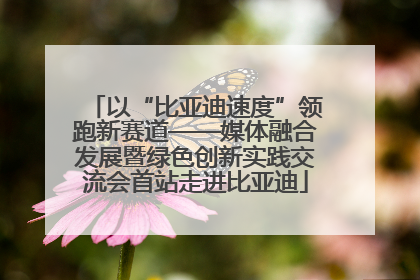 以“比亚迪速度”领跑新赛道——媒体融合发展暨绿色创新实践交流会首站走进比亚迪