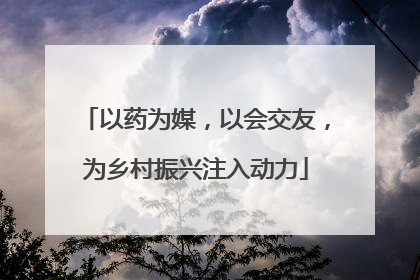 以药为媒，以会交友，为乡村振兴注入动力