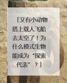 又有小动物搭上载人飞船去太空了！为什么模式生物能成为“探索代表”？