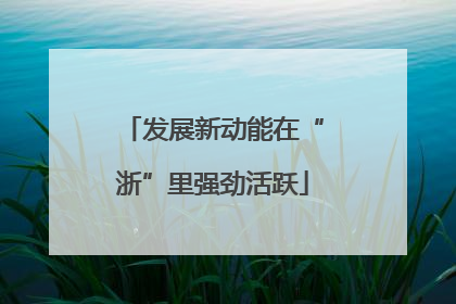 发展新动能在“浙”里强劲活跃