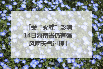 受“蝴蝶”影响 14日海南省仍有强风雨天气过程