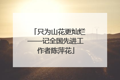 只为山花更灿烂——记全国先进工作者陈萍花