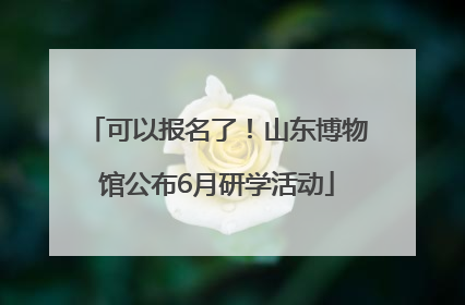 可以报名了！山东博物馆公布6月研学活动