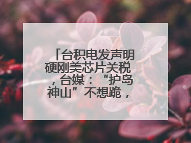 台积电发声明硬刚美芯片关税，台媒：“护岛神山”不想跪，赖当局呢？
