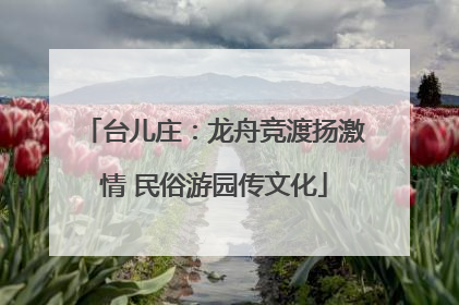 台儿庄：龙舟竞渡扬激情 民俗游园传文化