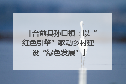 台前县孙口镇：以“红色引擎”驱动乡村建设“绿色发展”