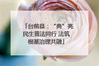 台前县：“典”亮民生普法同行 法筑根基治理共融