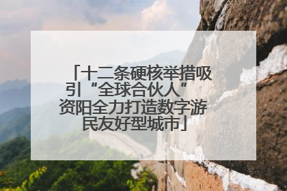十二条硬核举措吸引“全球合伙人” 资阳全力打造数字游民友好型城市