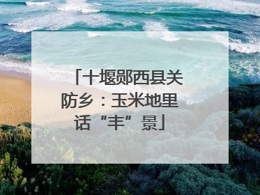 十堰郧西县关防乡：玉米地里话“丰”景