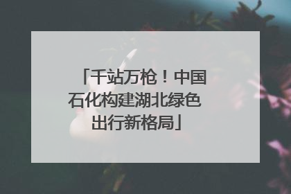 千站万枪！中国石化构建湖北绿色出行新格局