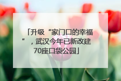 升级“家门口的幸福”，武汉今年已新改建70座口袋公园