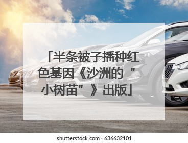 半条被子播种红色基因《沙洲的“小树苗”》出版