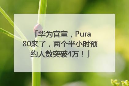 华为官宣，Pura 80来了，两个半小时预约人数突破4万！