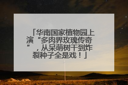 华南国家植物园上演“多肉界玫瑰传奇”，从呆萌树干到炸裂种子全是戏！
