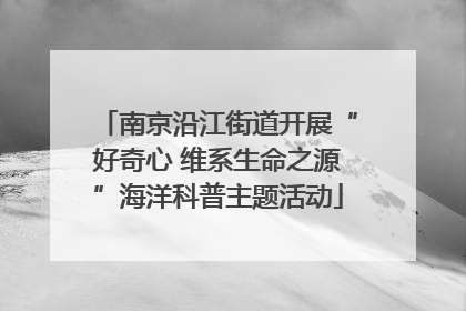 南京沿江街道开展“好奇心 维系生命之源”海洋科普主题活动