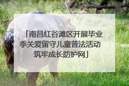 南昌红谷滩区开展毕业季关爱留守儿童普法活动 筑牢成长防护网