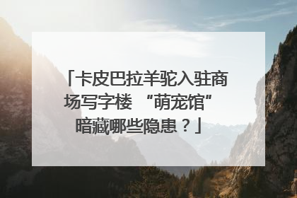 卡皮巴拉羊驼入驻商场写字楼 “萌宠馆”暗藏哪些隐患？
