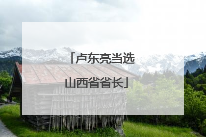 卢东亮当选山西省省长