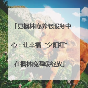 县枫林晚养老服务中心：让幸福“夕阳红”在枫林晚温暖绽放