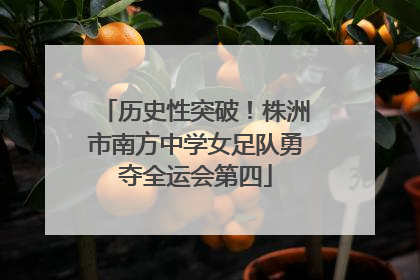 历史性突破！株洲市南方中学女足队勇夺全运会第四
