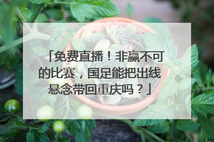 免费直播！非赢不可的比赛，国足能把出线悬念带回重庆吗？