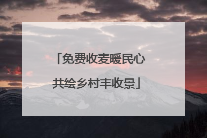 免费收麦暖民心 共绘乡村丰收景