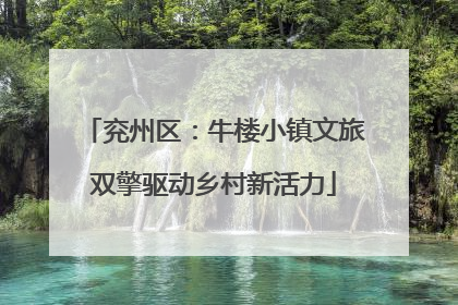 兖州区：牛楼小镇文旅双擎驱动乡村新活力