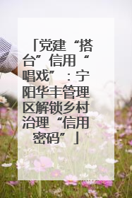 党建“搭台”信用“唱戏”：宁阳华丰管理区解锁乡村治理“信用密码”