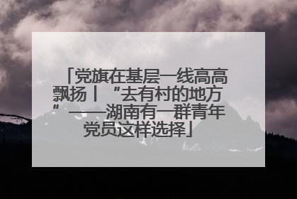党旗在基层一线高高飘扬丨“去有村的地方”——湖南有一群青年党员这样选择