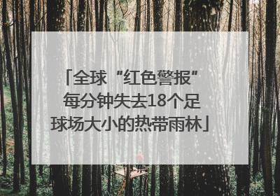 全球“红色警报”  每分钟失去18个足球场大小的热带雨林