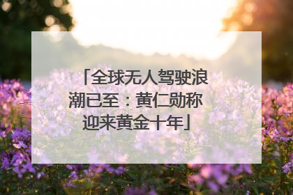 全球无人驾驶浪潮已至：黄仁勋称迎来黄金十年