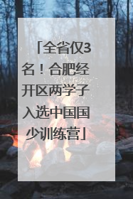 全省仅3名！合肥经开区两学子入选中国国少训练营