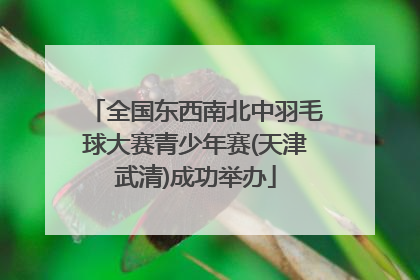 全国东西南北中羽毛球大赛青少年赛(天津武清)成功举办